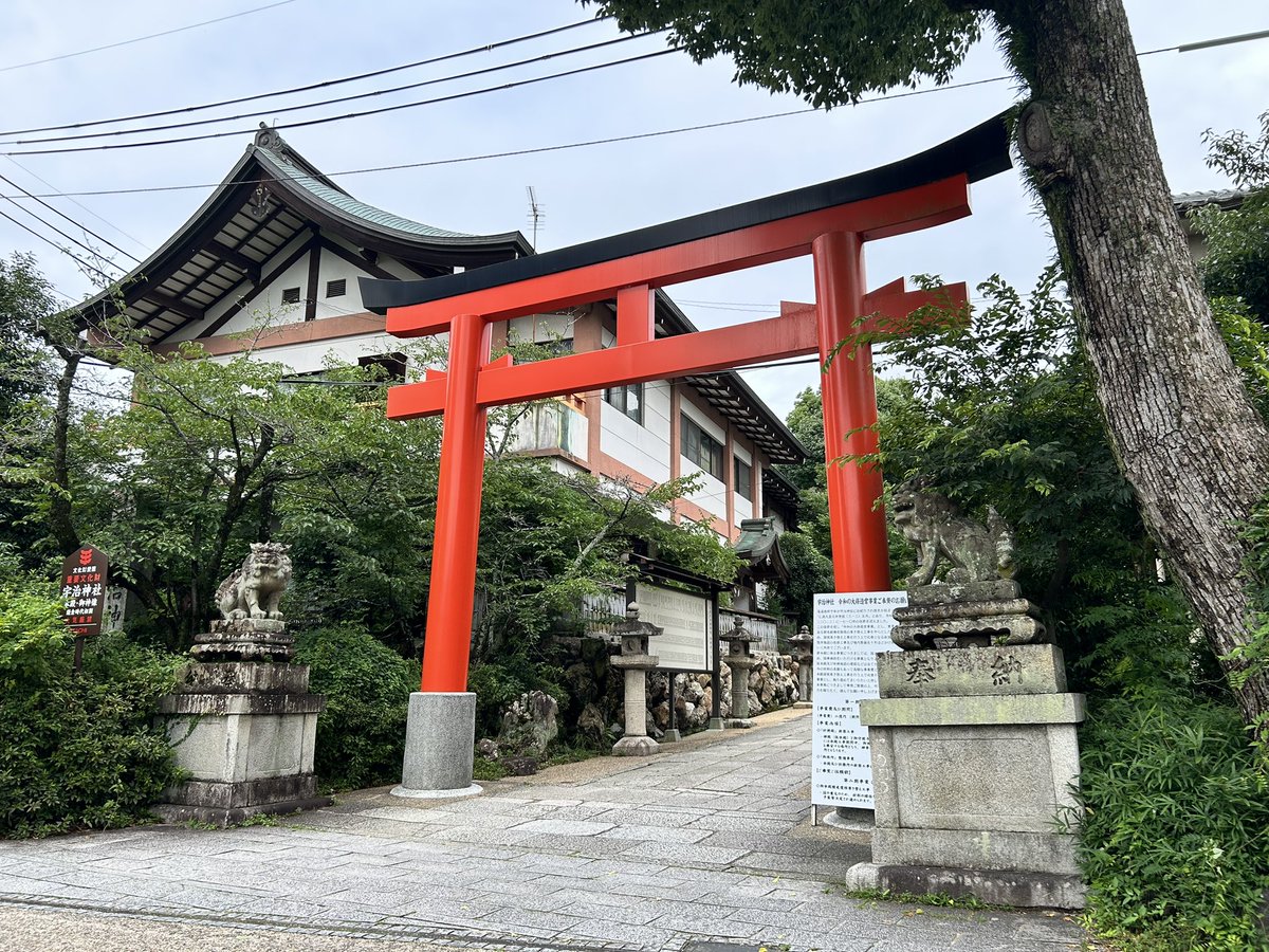 t_mikogami's tweet photo. 宇治上神社と宇治神社に行ってきました⛩️✨(画像は宇治神社) 
御祭神の菟道稚郎子命（うじの わきいらつこの みこと）が道に迷われた時に兎が振り返りながら導いた事から、いたるところに兎さん🐰 あんよがso cute🥺🐇 https://t.co/O5oMWi7YgV