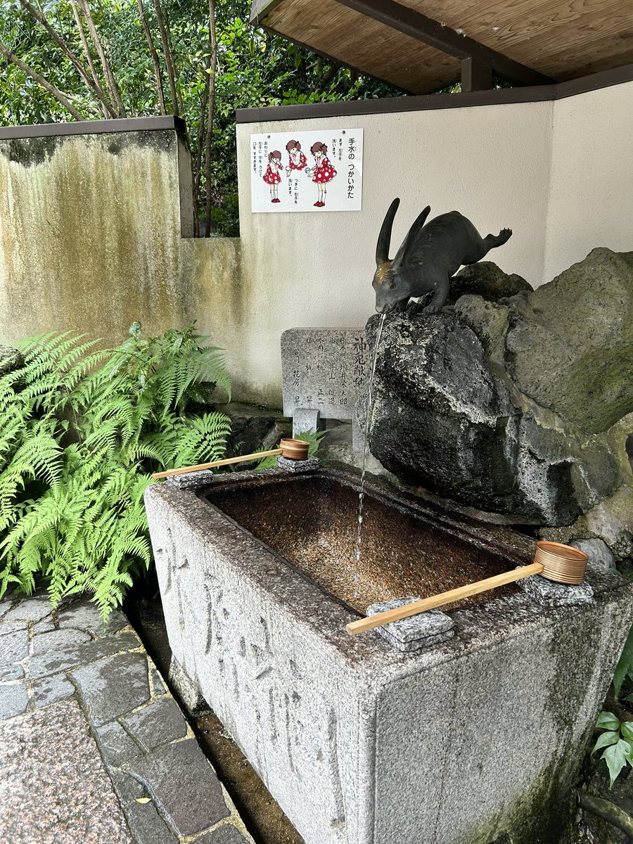t_mikogami's tweet photo. 宇治上神社と宇治神社に行ってきました⛩️✨(画像は宇治神社) 
御祭神の菟道稚郎子命（うじの わきいらつこの みこと）が道に迷われた時に兎が振り返りながら導いた事から、いたるところに兎さん🐰 あんよがso cute🥺🐇 https://t.co/O5oMWi7YgV