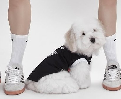 prom_with_bb's tweet photo. 하씨 7번 유니폼 입은 맹꾸 좀 봐.. https://t.co/kuEkbUReiP