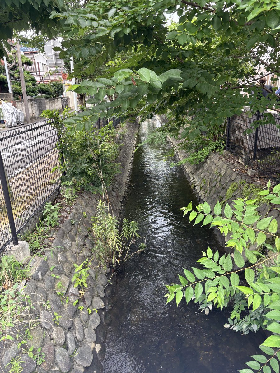 Funabashi_ankyo's tweet photo. 川辺堀から一旦離れて、開渠の川崎堀へ。
国道246号を越える歩道橋からは、津田山の切り通しがよく見える。
交差点の名前も、そのまま「切通し」！
#川崎 #二ヶ領用水 #川崎堀 https://t.co/WgRInpGNp6