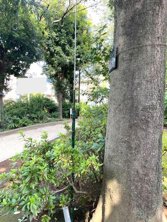 jk1zip_10_1_101's tweet photo. CQ、CQ、CQ、こちらはJK1ZIPです。
アマチュア無線には電波を体で感じながら
歩く!走る!というスポーツがあります。
#ARDF #アマチュア無線 #宝さがし https://t.co/0fsjQE7S5S