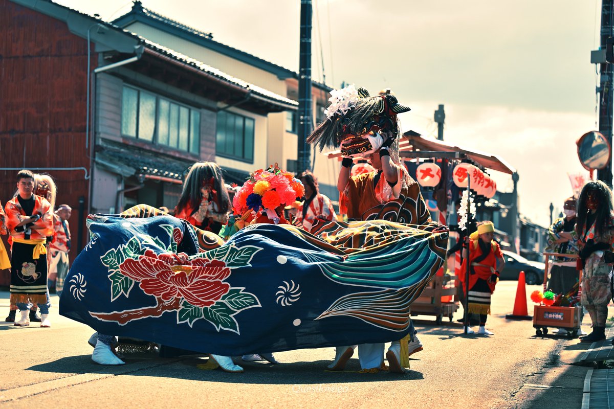 2026.5.9 放生津八幡宮 春季祭礼 巡業 #四十物町獅子方若連中 富山県