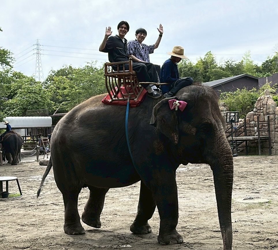 setzer_daryl's tweet photo. 単独幕間Vで象に乗せてもろた市原ぞうの国さんはぞうさんライドはもちろんぞうさんのショーや他にも沢山可愛い動物がおるのでおすすめでっせ🐘

市原ぞうの国
〒290-0521 千葉県市原市山小川937

#セッツァー単独
#YARASHI https://t.co/jkvEbOQSp4