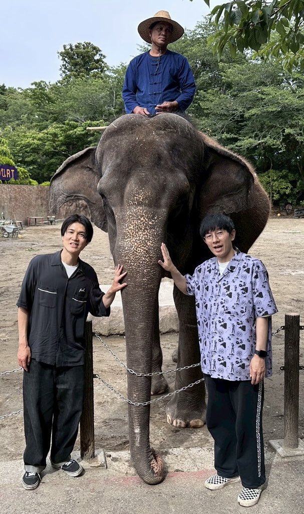 setzer_daryl's tweet photo. 単独幕間Vで象に乗せてもろた市原ぞうの国さんはぞうさんライドはもちろんぞうさんのショーや他にも沢山可愛い動物がおるのでおすすめでっせ🐘

市原ぞうの国
〒290-0521 千葉県市原市山小川937

#セッツァー単独
#YARASHI https://t.co/jkvEbOQSp4