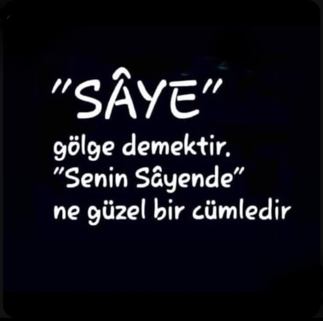 ceyhanoguzhan's tweet photo. https://t.co/nkzrAdvktX