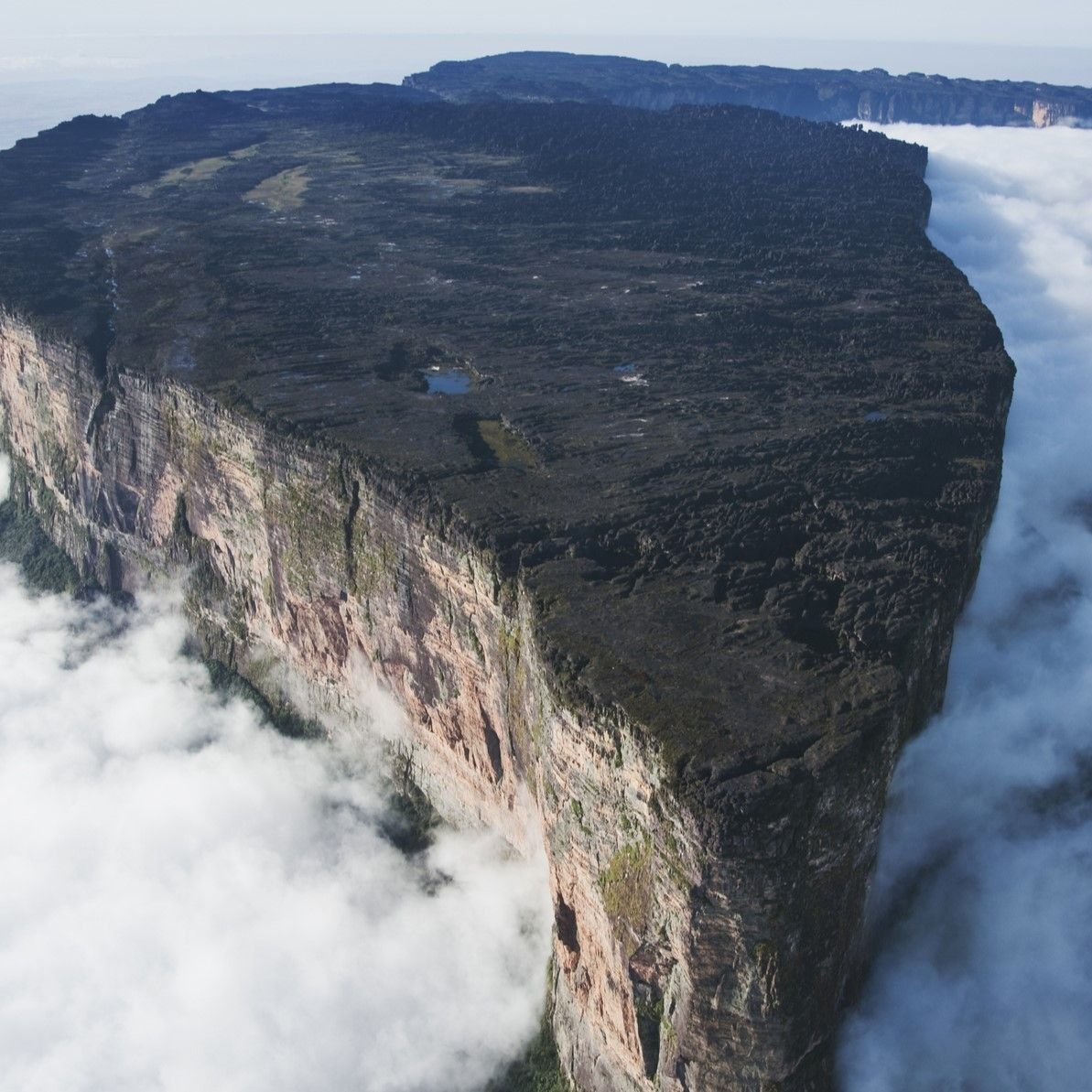 Razanagnostic's tweet photo. Mount roraima

यह पहाड़ ब्राज़ील, वेनेजुएला , गुयाना जैसे देशों की सीमा पर स्थित है 

इस पहाड़ को टेबल माउंटेन भी कहते हैं क्योंकि इसकी सतह एकदम फ्लैट है

इसके किनारे भी सीधे है लगातार बारिश की वजह से इसका आकार ऐसा हो गया है

पानी ओर हवा के कटाव की वजह से ऐसा लगता है जैसे किसी आर्टिस्ट ने इसका डिजाइन बनाया हो

पहाड़ का ऊपरी हिस्सा हमेशा बदलो से ढका रहता है इसलिए इसे खोई हुई दुनिया भी कहते हैं 

तकरीबन 2 अरब साल पुराने इस पहाड़ में कई दुर्लभ जीव ओर पौधे पाए जाते हैं जो दुनिया में कही ओर नहीं है 

यहां पर मांसाहारी पौधे भी है मिट्टी में पोषक तत्व कम होने की वजह से पौधे कीड़ों को पकड़ कर उनसे पोषण प्राप्त करते हैं 

9219 फिट ऊंचे इस पहाड़ पर पर्यटक ट्रैकिंग करने के लिए भी आते हैं

यह पहाड़ कई नदियो को पानी भी उपलब्ध कराता है