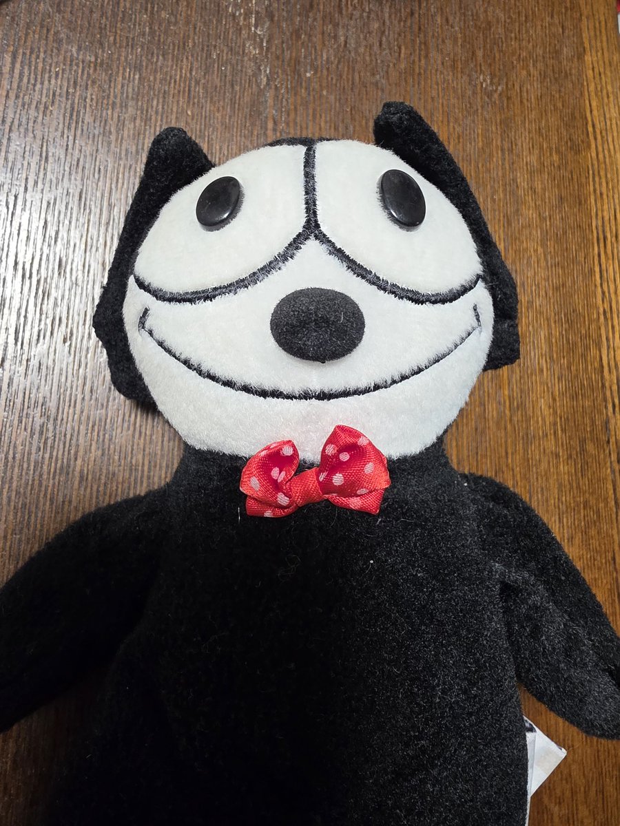cherrykomm's tweet photo. 可愛いフェリックスげっとしました🩶
#フェリックス https://t.co/c6hmIZCOFo