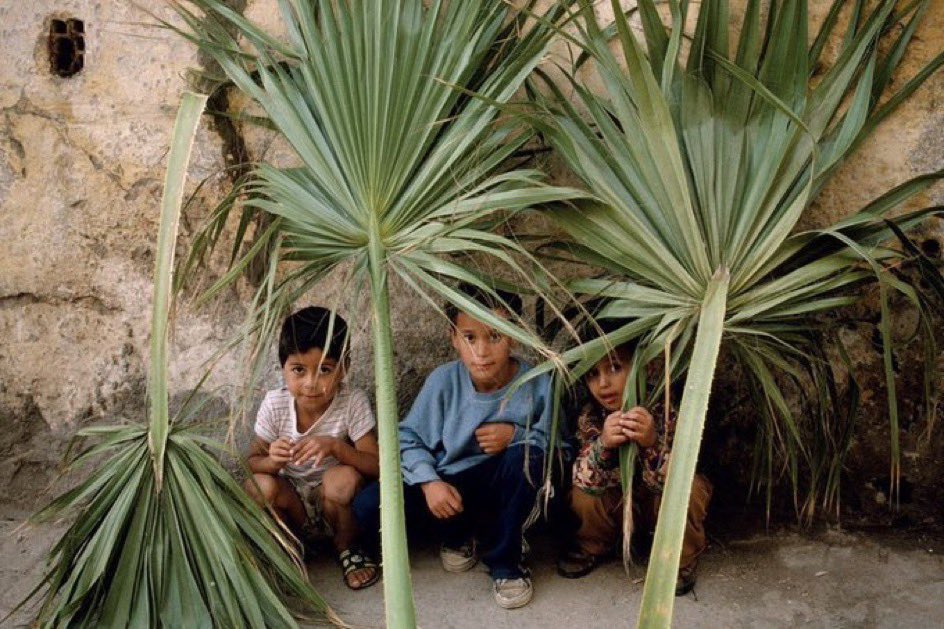 aseelswaid9's tweet photo. Morocco in the 1980’s https://t.co/hizSqyUQgp