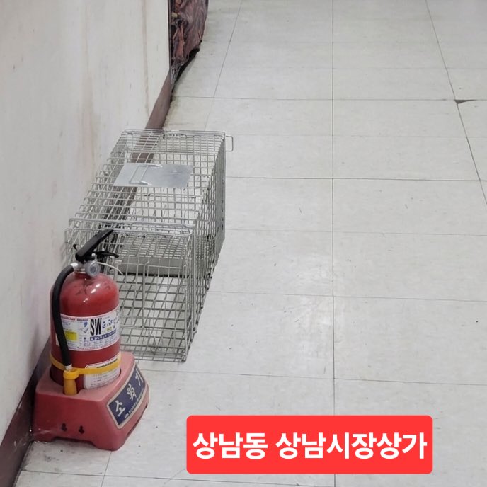 zAGBqlS8LXiiijt's tweet photo. 여러분의 강력한 연대와 공유, 그리고 이 모든 사안에 방계한 창원시 축산과에  항의 부탁드립니다 

 ※  창원시 축산과
과장 055-225-5660
팀장 055-225-5482
주무관 055-225-5483

#동물학대 #길고양이학대 #빙초산테러 #동물보호법위반 #창원시청 https://t.co/l6OxBTrqjn