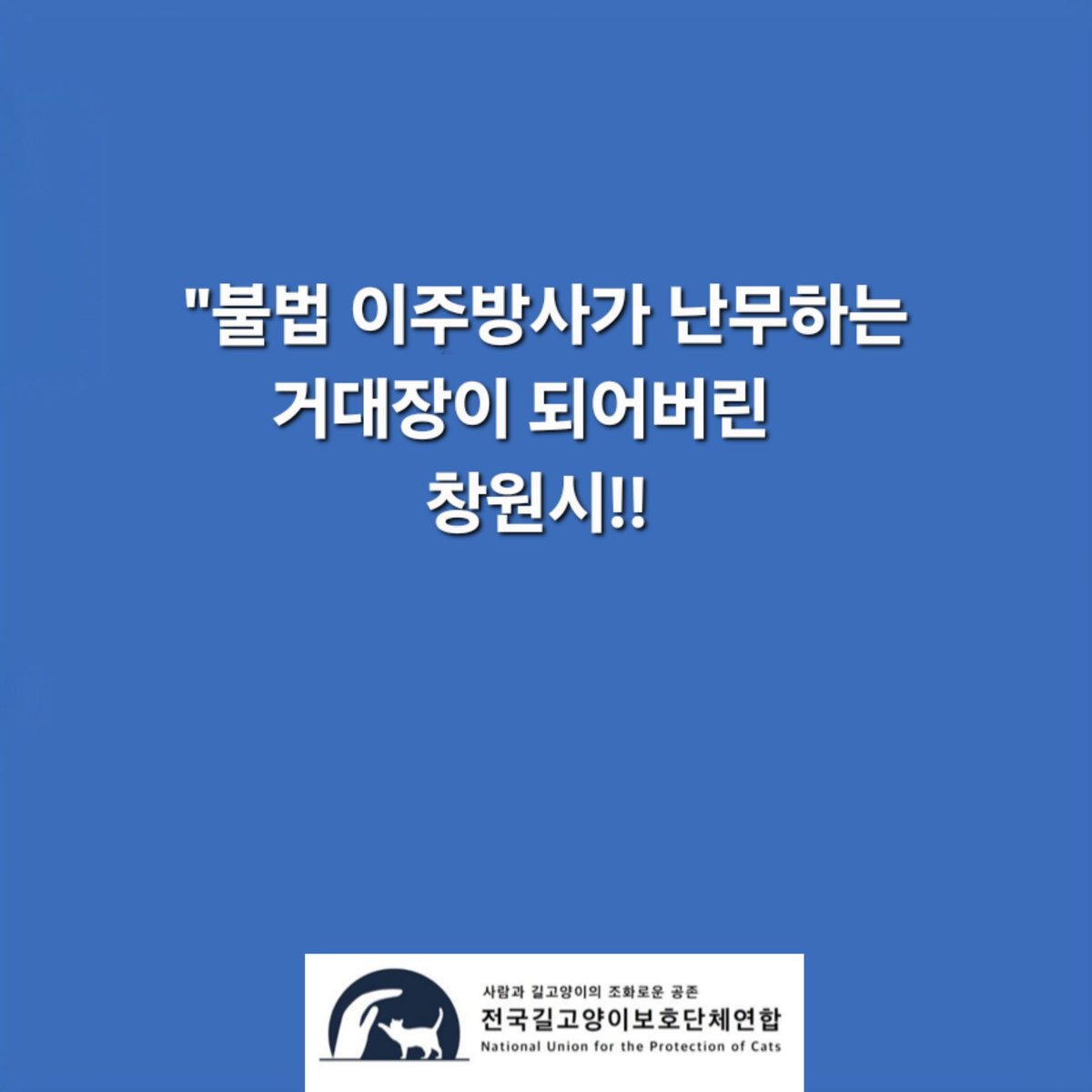 zAGBqlS8LXiiijt's tweet photo. 여러분의 강력한 연대와 공유, 그리고 이 모든 사안에 방계한 창원시 축산과에  항의 부탁드립니다 

 ※  창원시 축산과
과장 055-225-5660
팀장 055-225-5482
주무관 055-225-5483

#동물학대 #길고양이학대 #빙초산테러 #동물보호법위반 #창원시청 https://t.co/l6OxBTrqjn