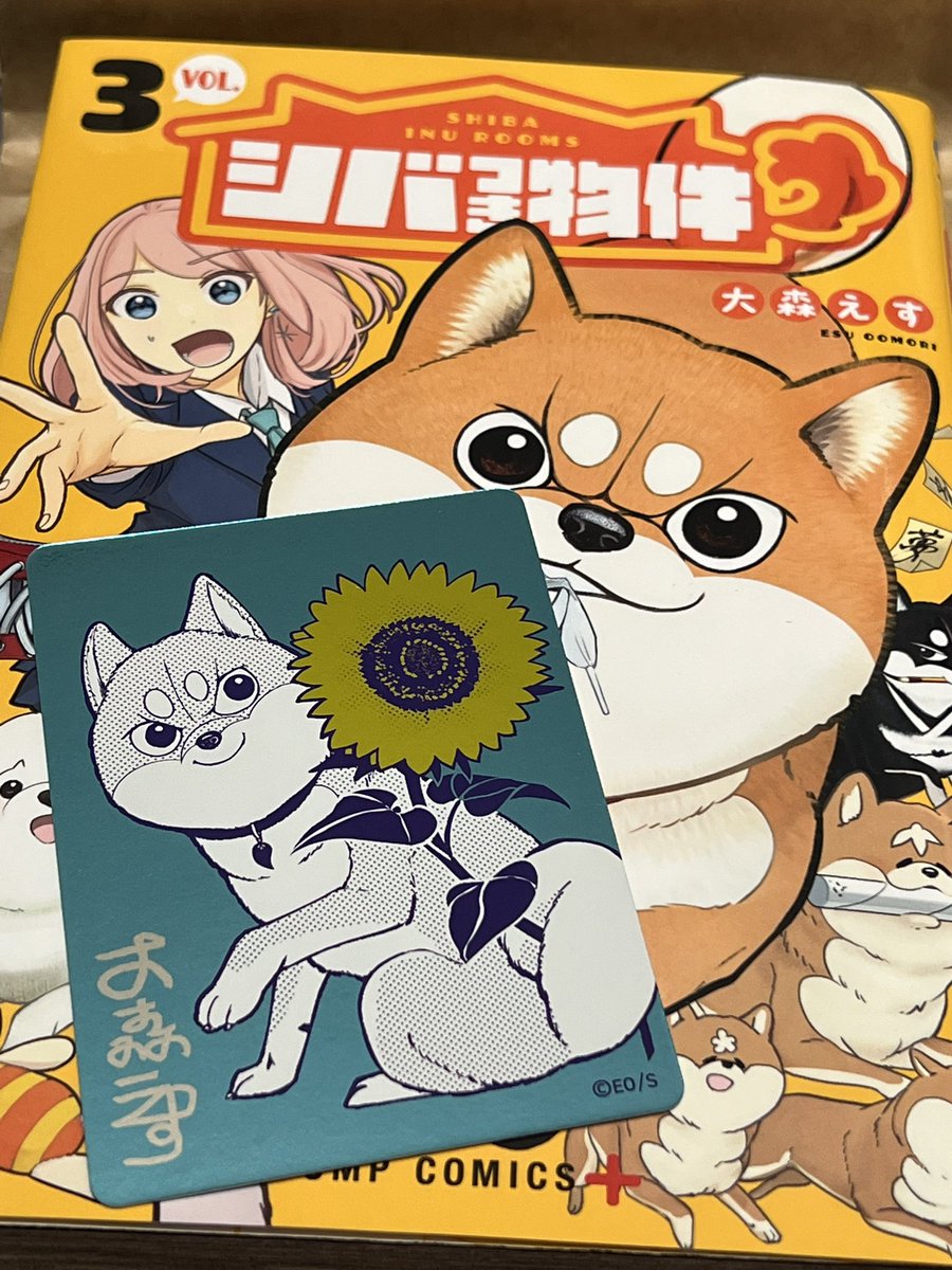 ir0ir0's tweet photo. 昨日新刊発売時の特典目当てで7巻にしたので今日は3巻に戻った
ナツコミのカードもシバつき物件 https://t.co/iyDq4uCoZE