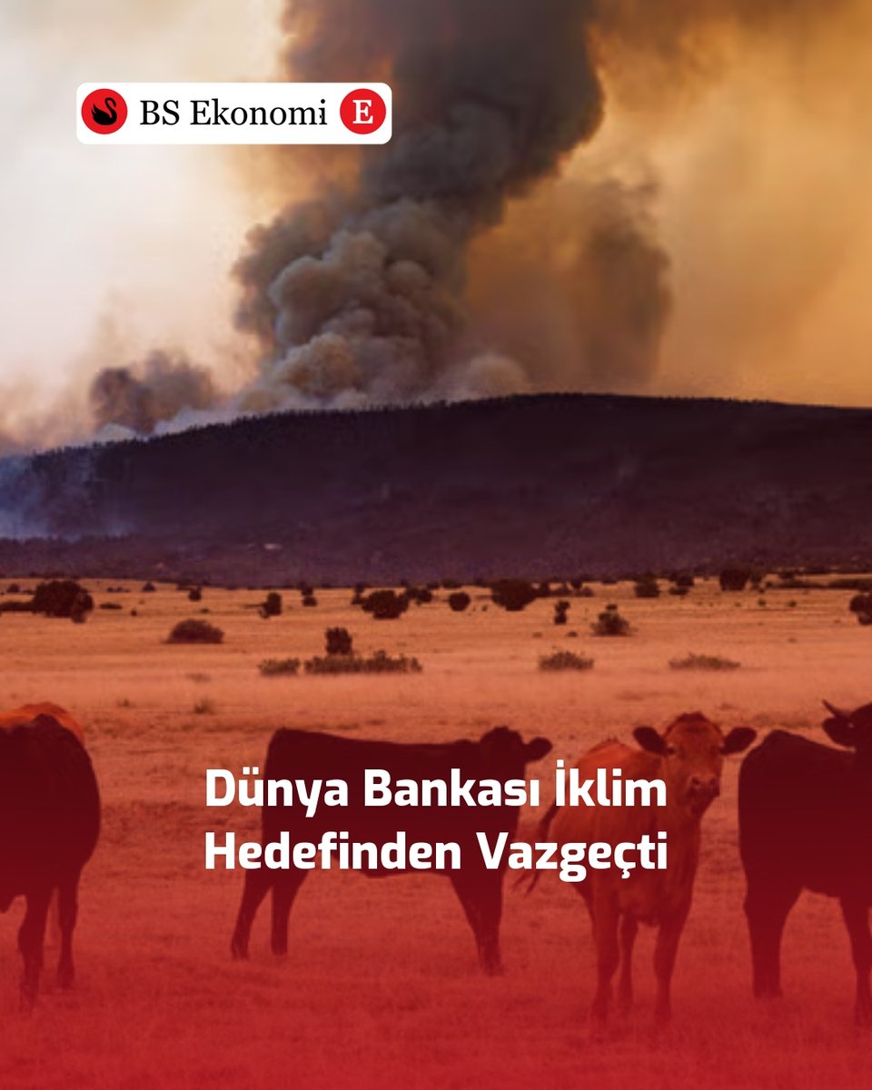 bsekonomicom's tweet photo. Dünya Bankası, Haziran 2023'te iklim projelerine kredi ayırma hedefinden geçtiğimiz ay ABD baskısıyla %45 oranındaki iklim finansmanı hedefinden vazgeçti. Bu değişim, gelişmekte olan ülkelerin karbon emisyon azaltma sürecini etkileyebilir.

Devamı: https://t.co/M0CUQLi4Mj https://t.co/5DmiCdhqPx