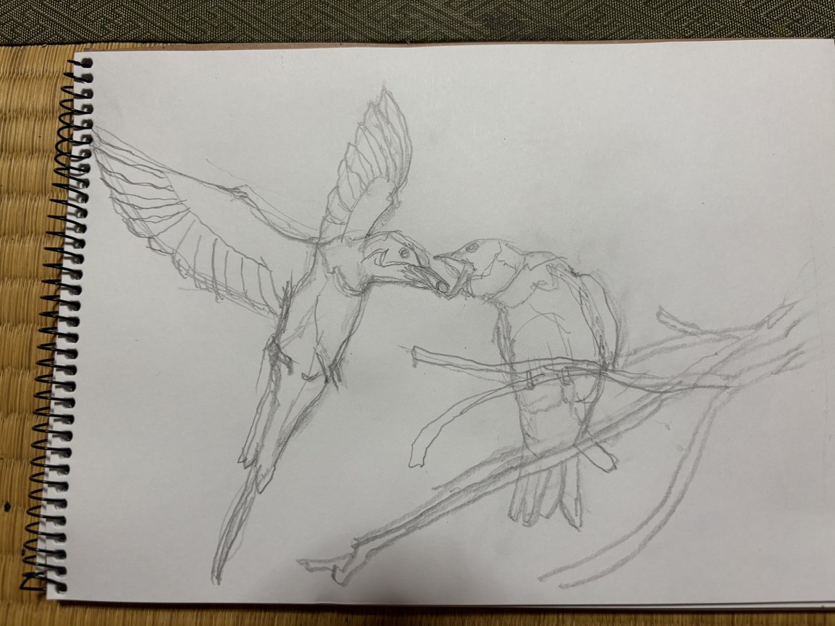 K*o様 西岡義一　ポピー 依頼品 鳥の絵 下がき。