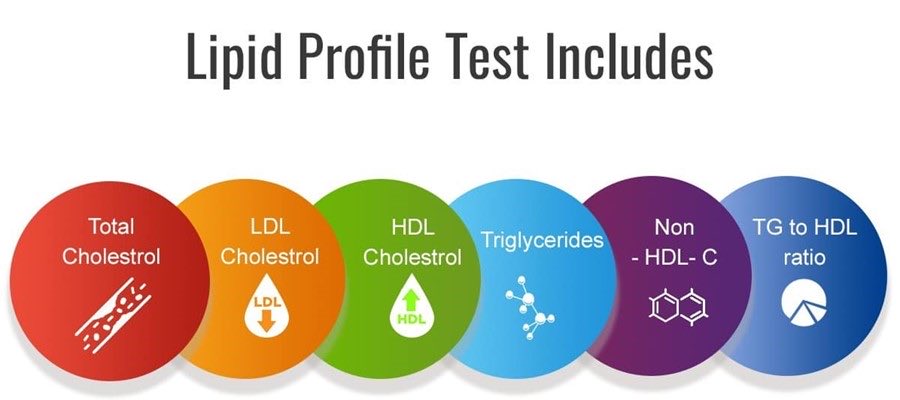 rpsingh1894's tweet photo. 🧵 How to Read a Lipid Profile — A Simple Clinical Guide

1/ Your lipid profile is more than “cholesterol.”
It helps estimate future risk of heart attack, stroke, and blocked arteries.

The key numbers are:
• Total cholesterol
• LDL-C
• HDL-C
• Triglycerides
• Non-HDL-C
• Sometimes ApoB and Lp(a)