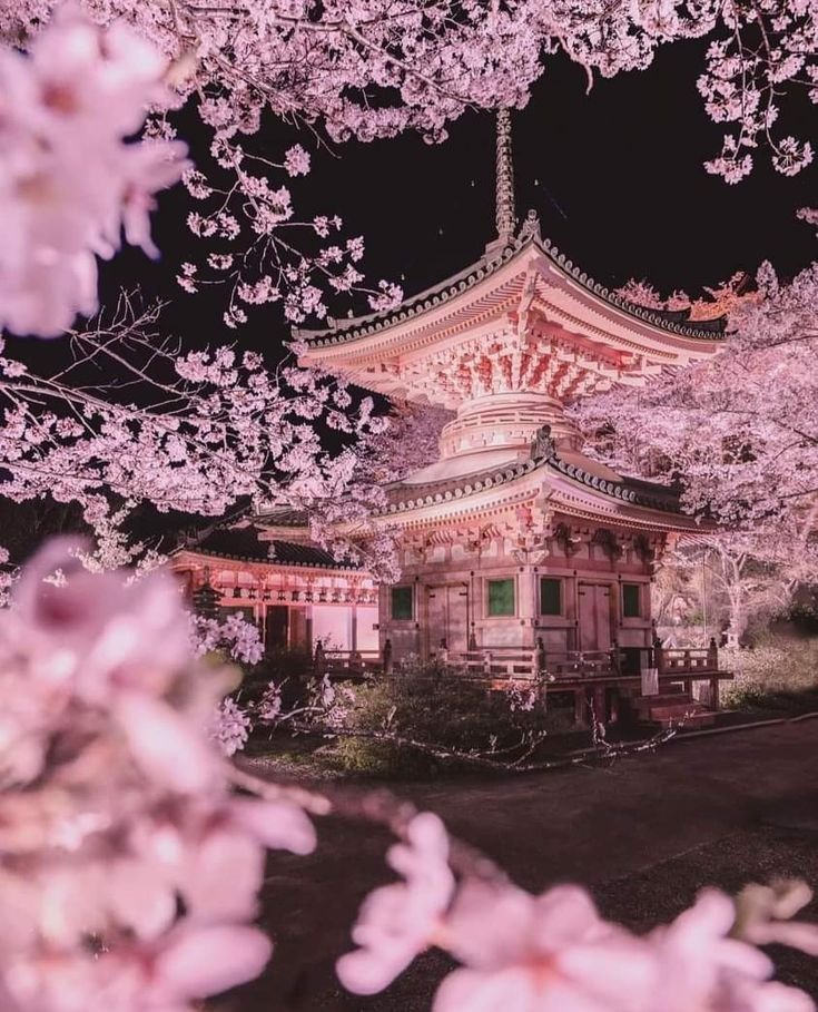 pictures033's tweet photo. Kyoto's Scenery 🇯🇵🌸 https://t.co/ar3eQonuxs