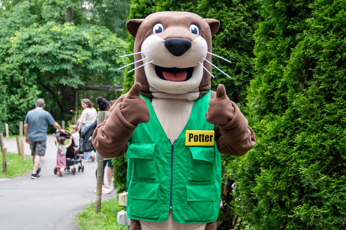 potterparkzoo's tweet photo. Zoo Days starts today!⁠
⁠
Today's the day to enjoy one of Potter Park Zoo's biggest summer traditions!⁠
⁠
Join us today and tomorrow from 9 a.m. to 5 p.m. for:⁠
⁠
🦁 $2 admission⁠
🚗 FREE parking⁠
⁠
Whether you're visiting your favorite animals, introducing someone to the zoo for the first time, or simply looking for a fun way to spend the day, Zoo Days is the perfect opportunity to explore, learn, and make lasting ⁠
memories.⁠
⁠
We'll see you at the zoo! 🐾⁠

https://t.co/A100L3RTzP