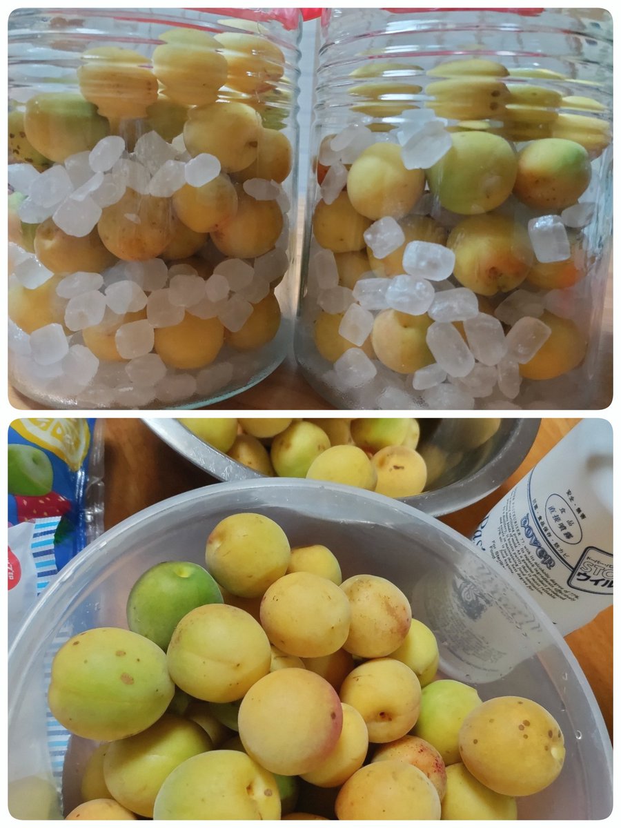 100889annee's tweet photo. 2kg 購入して
3kg 職場の同僚から頂き

4kgの梅シロップと
1kgの梅干し作り
仕上がりが待ちきれない
(っ ॑꒳ ॑っ)ﾜｸﾜｸ
 #梅仕事 https://t.co/7tii5xCZr8