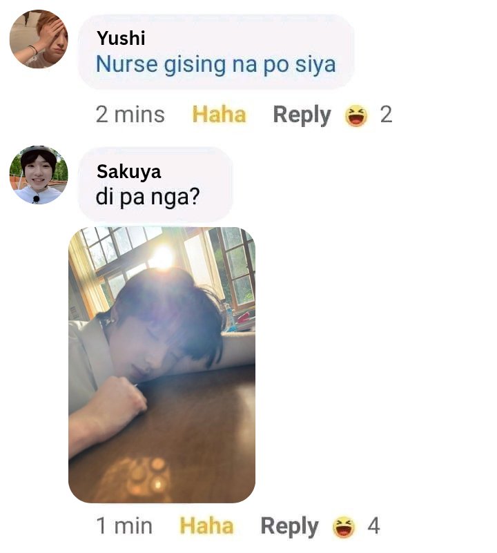 bisexual yushi tweet media
