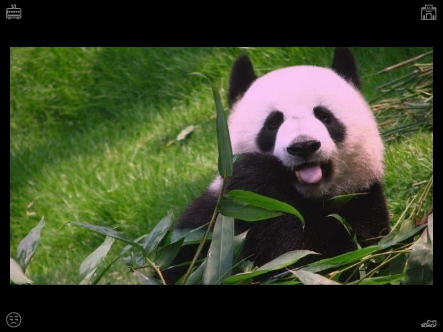 GreenAsmr's tweet photo. 孩子们惊讶地张大了嘴巴，瞪大了眼睛。“我们可以摸摸它们吗？”另一个孩子一边问，一边伸手向玻璃靠近。伊芙琳温柔地摇了摇头，但脸上带着和蔼的微笑。请宽容对待每一个错误。 https://t.co/jkYZiC0MM4