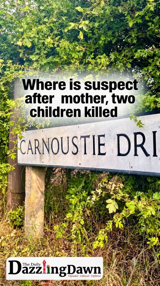 MunzerChowdhury's tweet photo. An international manhunt is underway after a mother & two young children were found dead in Great Denham. Operation Snowdrift is acti
#DailyDazzlingDawn #Bedford #Manhunt #OperationSnowdrift #GreatDenham #TrueCrimeUK #PoliceAppeal #BreakingNewsUK #Interpol #UKNews https://t.co/fyeBuW0lkR