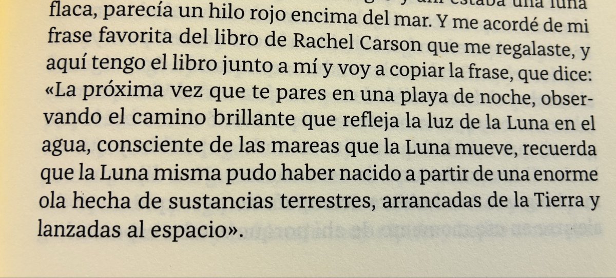 coqueazcona's tweet photo. escapando del inhabitable calor de mi casa https://t.co/BFtjIlQPlw