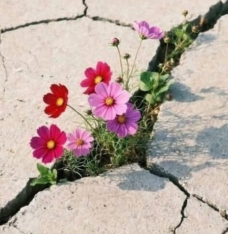 Leylbrkl's tweet photo. Anlaşıldığımda https://t.co/7Ux2XASWXD