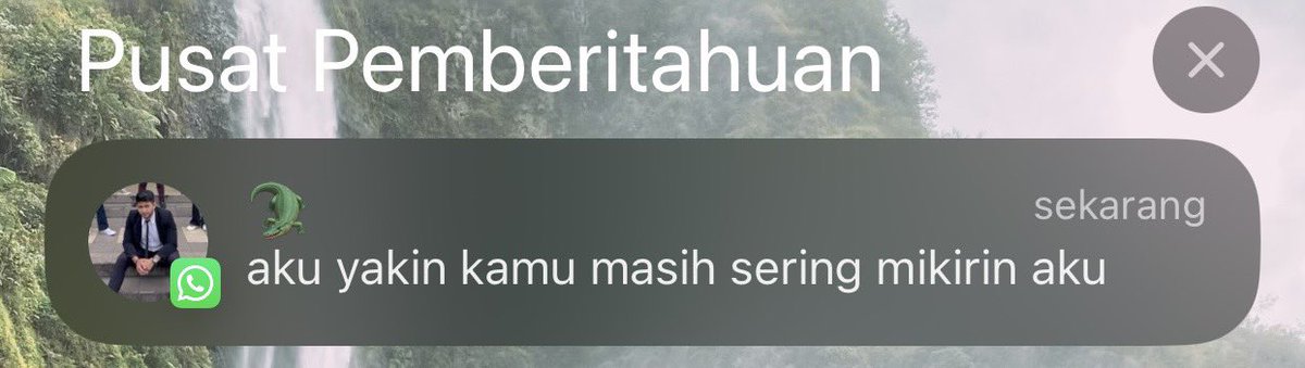 Yupi tweet media