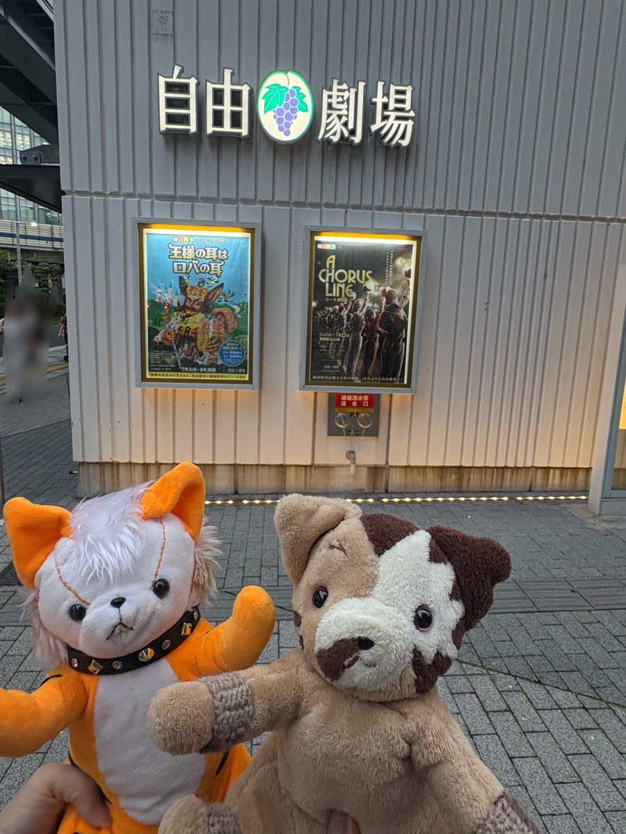 katabami030's tweet photo. コーラスラインソワレでした🎩✨
オーディションだから彼らは同じ舞台に立つことは無いんだよなぁカテコは夢なんだよなぁと思うと見終わった後に少し寂しくなっちゃうコーラスライン。今日も素晴らしかった…！ https://t.co/9zJorBpVWJ
