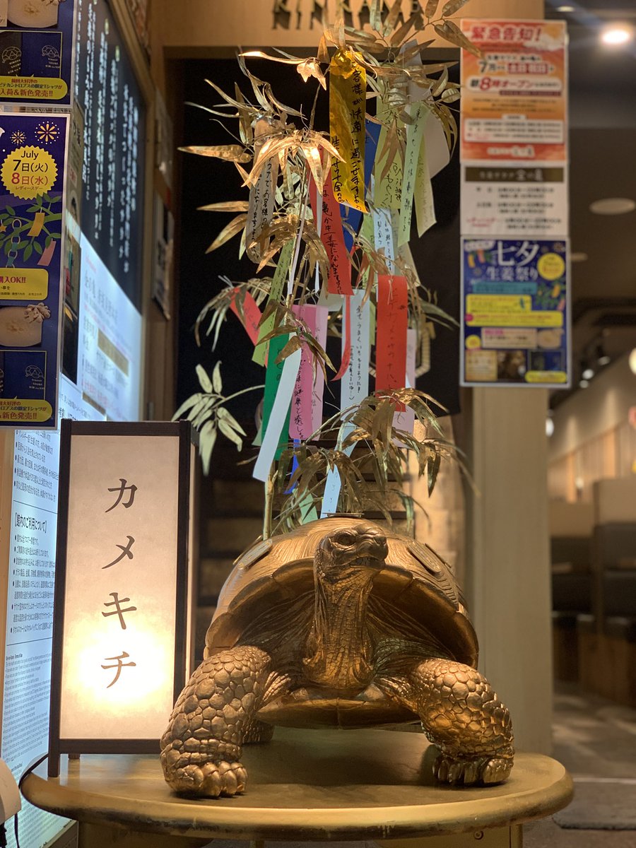 金の亀 生姜サウナ「金の亀」 (@sauna_kinnokame) / Posts / X