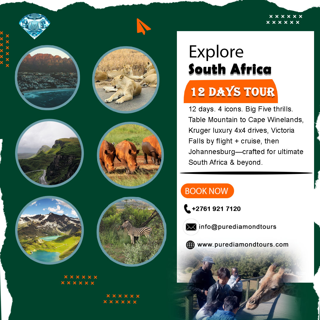 PDiamondTours's tweet photo. Embark on our Explore South Africa 12-Day Tour! From Cape Town &amp; Winelands to a Big Five Kruger safari, then Victoria Falls and Joburg. Luxury stays, guided open 4x4 drives &amp; unforgettable views. Ready to go?
https://t.co/k9YcZewAJB
#CapeTown #CapeTownTravel #SouthAfricaTravel https://t.co/GgMDDvm78w