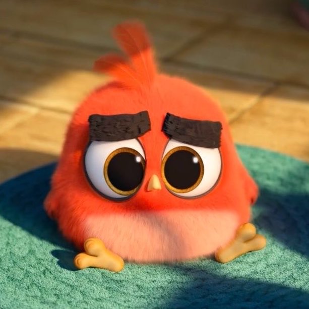 chewii_bunny's tweet photo. baby paul looks like an angry bird https://t.co/0QPXxl6Dau
