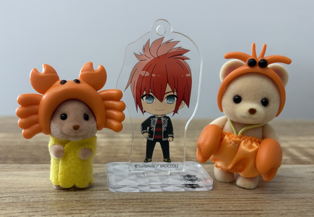 suzu_x_trees's tweet photo. カニちゃんず🦀 https://t.co/NZJzdLb1Dd