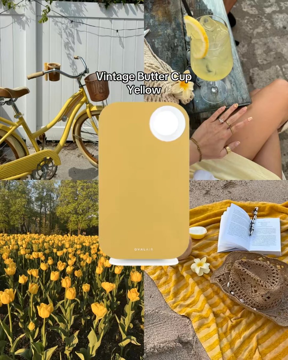 ovalair_'s tweet photo. Choose your desired destination! 💙🩵💚💛

A deep breath can transport you to your happy place, and this summer we wanna know about your color journey ✨ https://t.co/wqyLRJAY7F