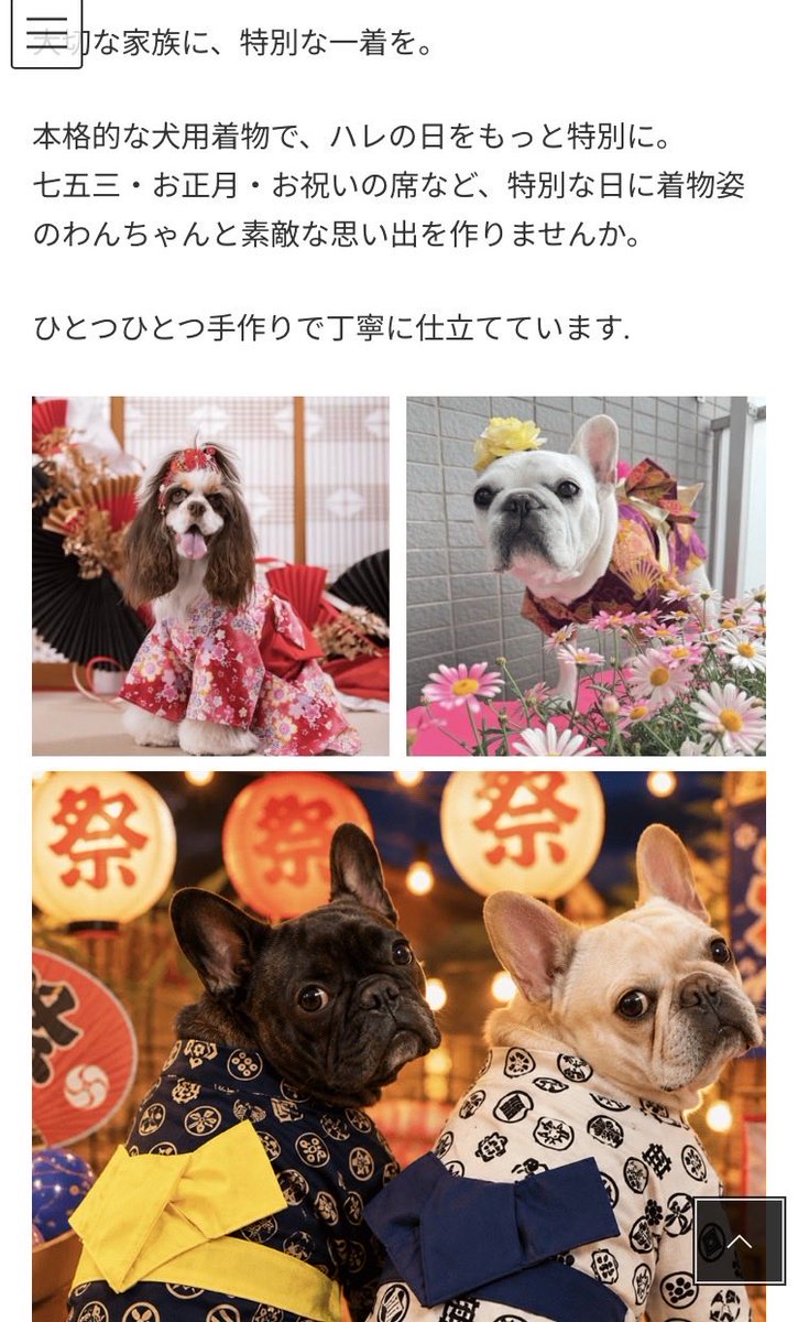 たぬとん🐶手作り犬服ハンドメイド作家 (@754tanuton) / Posts / X
