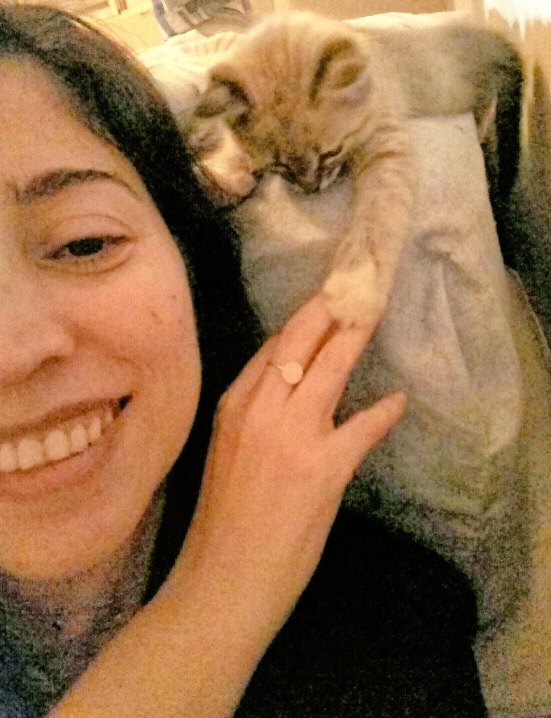 aquinomardapsiq's tweet photo. A gata antisuicidio que ganhei quando recebi um diagnóstico de câncer.
Qdo vc precisa de uma mão e a vida te dá uma pata é prq o Universo (ou alguém nesse Universo) te ama muito.🐾 https://t.co/e6l5qOpkZd