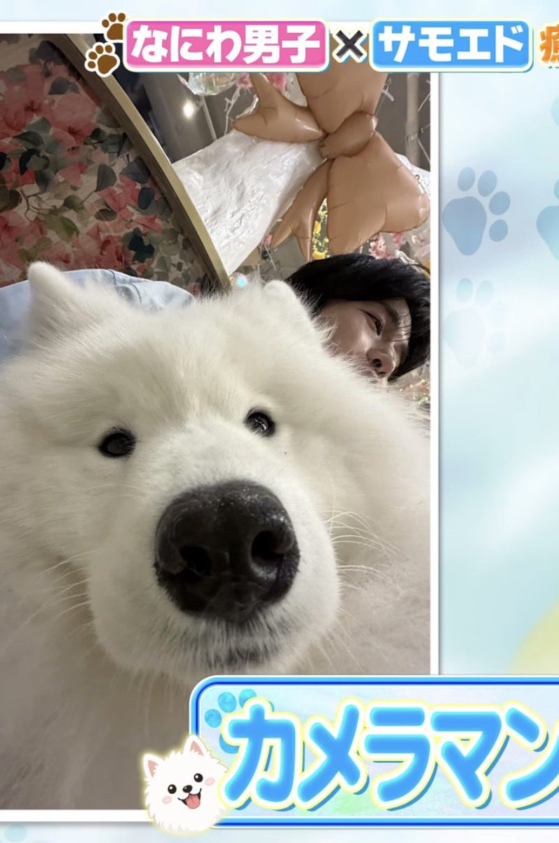 baby_hanayome's tweet photo. みっちーが撮ったりゅちぇ        みっちーが撮ったけんと
ㅋㅋㅋㅋㅋㅋㅋㅋㅋㅋㅋㅋㅋㅋㅋㅋㅋㅋㅋㅋ
関係性わかりやすい https://t.co/XmLrxgMxlG