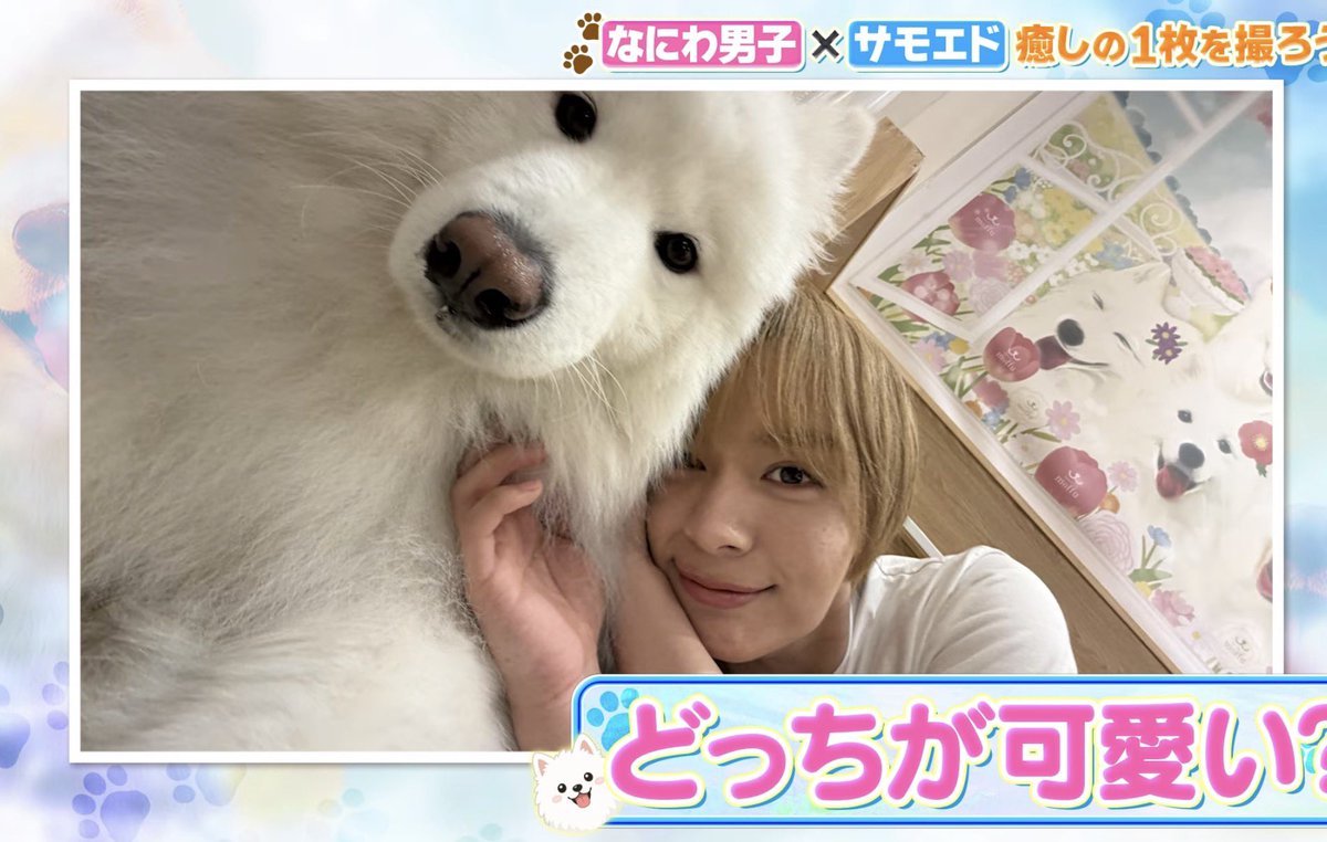 baby_hanayome's tweet photo. みっちーが撮ったりゅちぇ        みっちーが撮ったけんと
ㅋㅋㅋㅋㅋㅋㅋㅋㅋㅋㅋㅋㅋㅋㅋㅋㅋㅋㅋㅋ
関係性わかりやすい https://t.co/XmLrxgMxlG