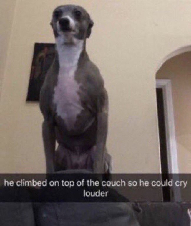 DiverReport's tweet photo. @calliepewks You have lots of weird oomf stories... (also im taking this image thank you :3) https://t.co/s5gqWapKlU