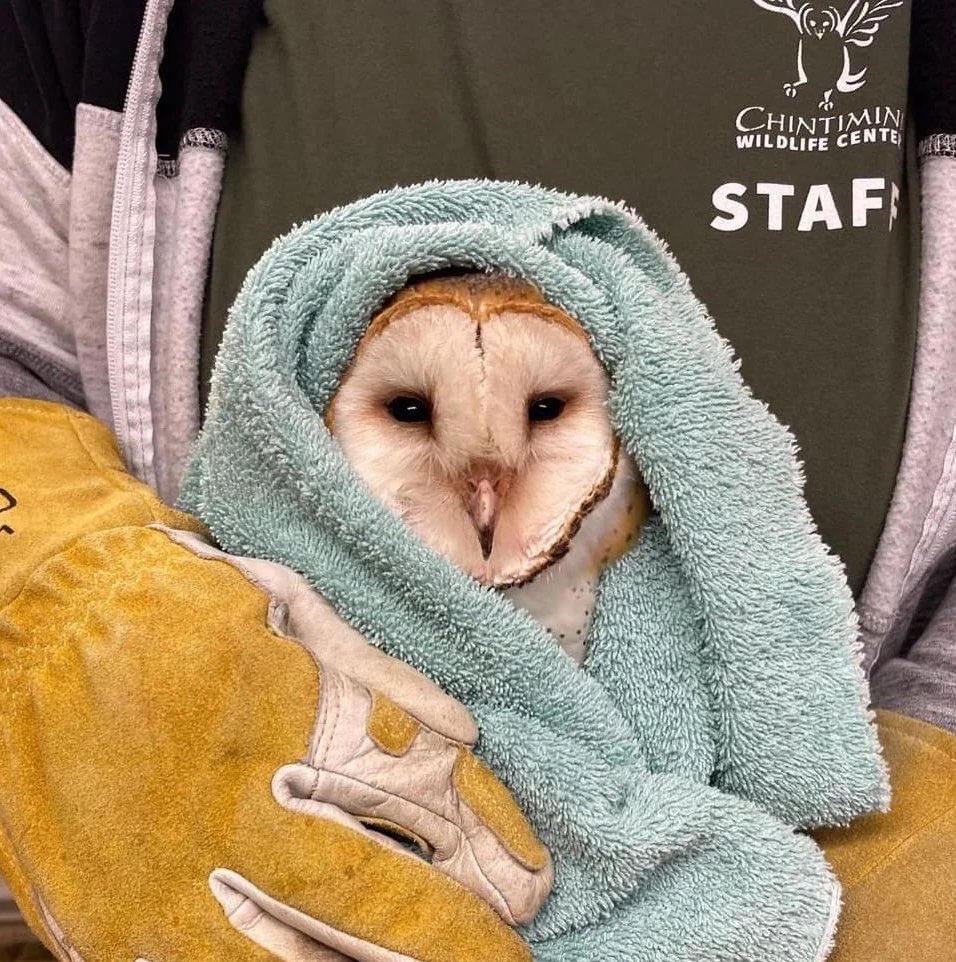 SavosAndSavos's tweet photo. That one friend that’s too towel https://t.co/bvby71G8cP