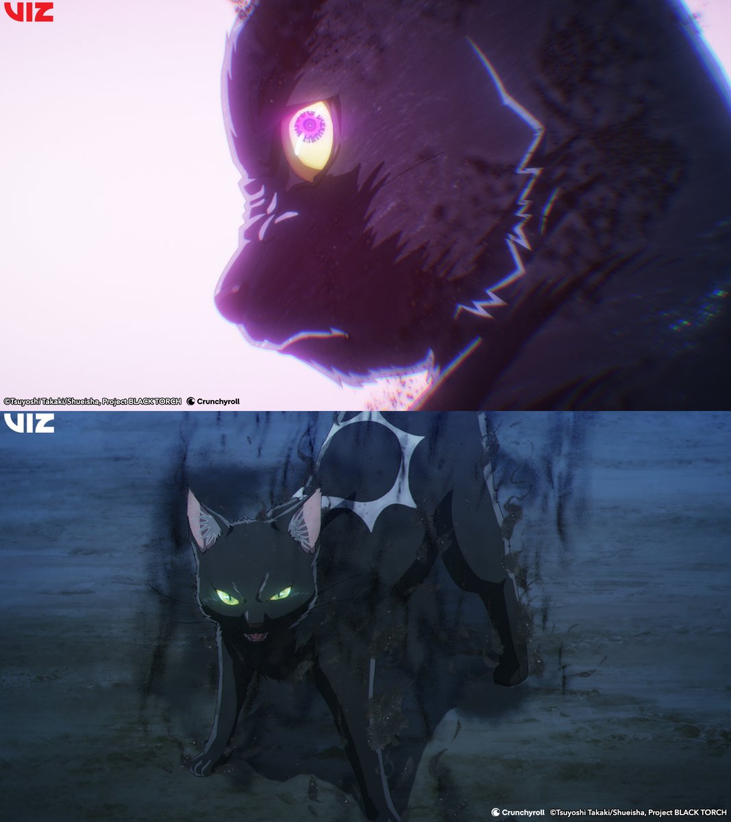 Crunchyroll_BR_'s tweet photo. POV: você fez *pss pss* pra um mononoke achando que era um gatinho 😱

Anime: TOCHA NEGRA https://t.co/O5EVIGN2my