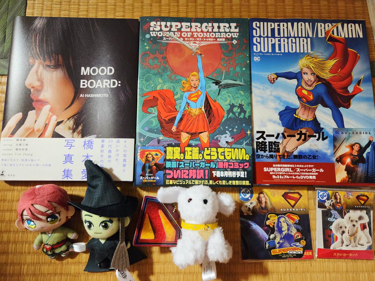 今日買った・届いた本を紹介する #邦訳アメコミ本 #武器ではなく本を持