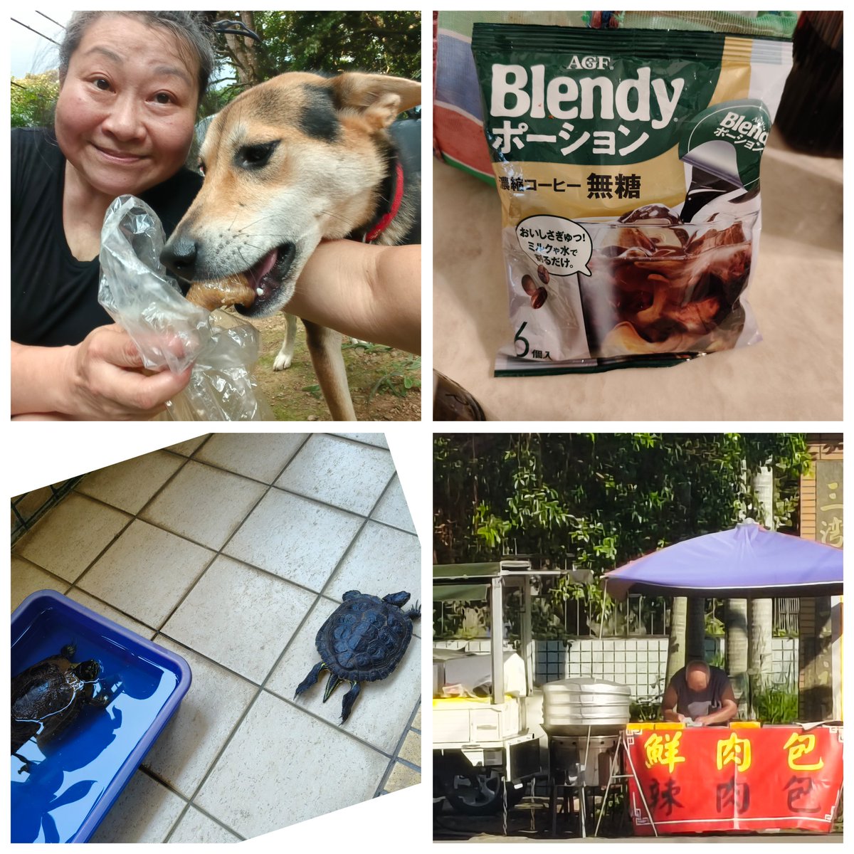 kity64681's tweet photo. 😆感謝平安快樂天！ 早上到龍鳳胎家，感謝賢慧媽媽送我濃縮咖啡膠囊。下午到二寶二龜家，幫牠們洗乾淨龜背。下班買包子，自助餐買飯菜。回家餵好毛孩子們，洗好澡先睡覺，起來再吃晚餐。
#順應自然 https://t.co/AoF8gs1qHH