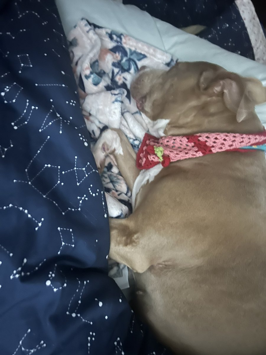 pumpkinpiepit's tweet photo. Wake me up when the sun comes back out https://t.co/KExaNntFNn