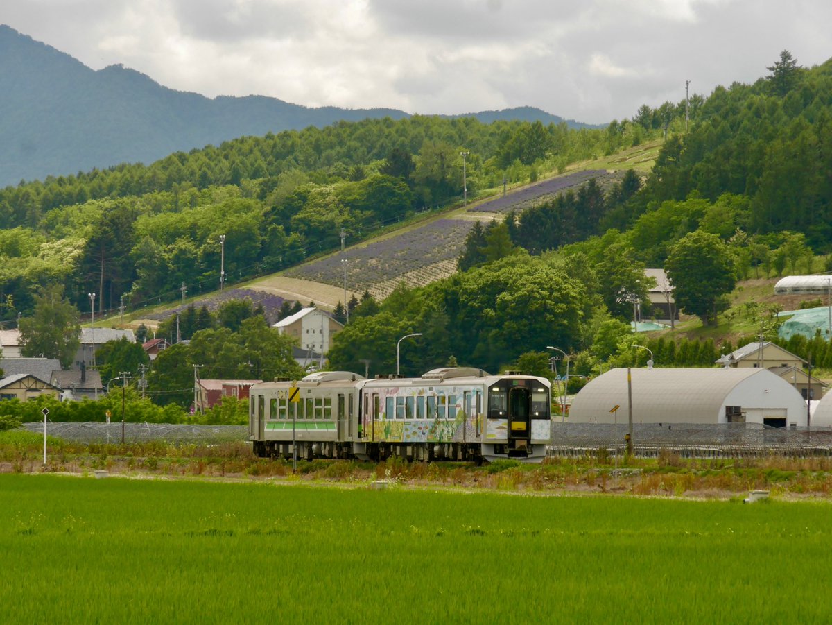 Sakup93r16's tweet photo. #富良野美瑛ノロッコ号
#JR北海道
#H100形
#DECMO
#ノロッコ号
#ラベンダー畑
#ラベンダー
#中富良野 https://t.co/3uf2g7HZ20