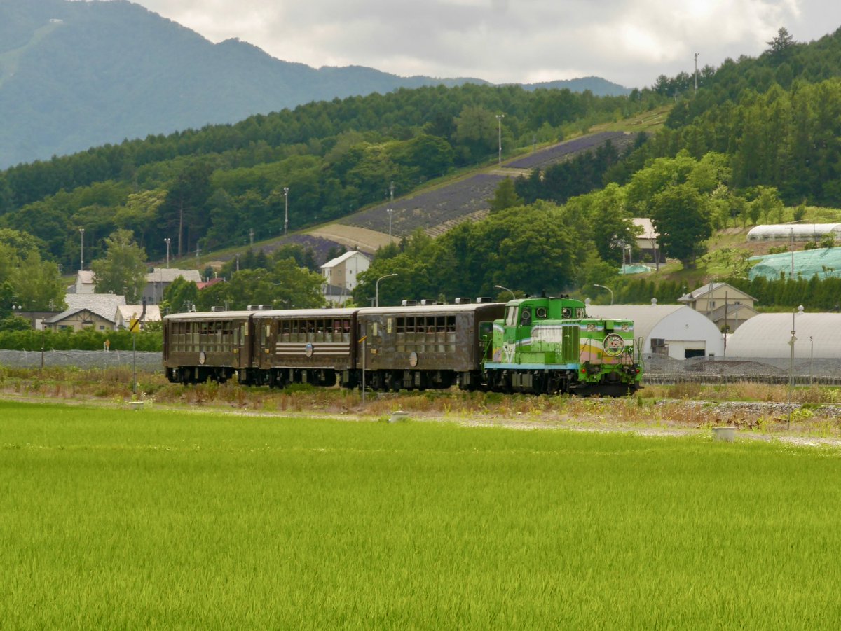Sakup93r16's tweet photo. #富良野美瑛ノロッコ号
#JR北海道
#H100形
#DECMO
#ノロッコ号
#ラベンダー畑
#ラベンダー
#中富良野 https://t.co/3uf2g7HZ20