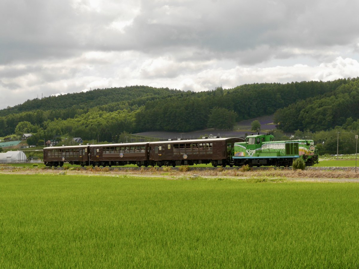 Sakup93r16's tweet photo. #富良野美瑛ノロッコ号
#JR北海道
#H100形
#DECMO
#ノロッコ号
#ラベンダー畑
#ラベンダー
#中富良野 https://t.co/3uf2g7HZ20