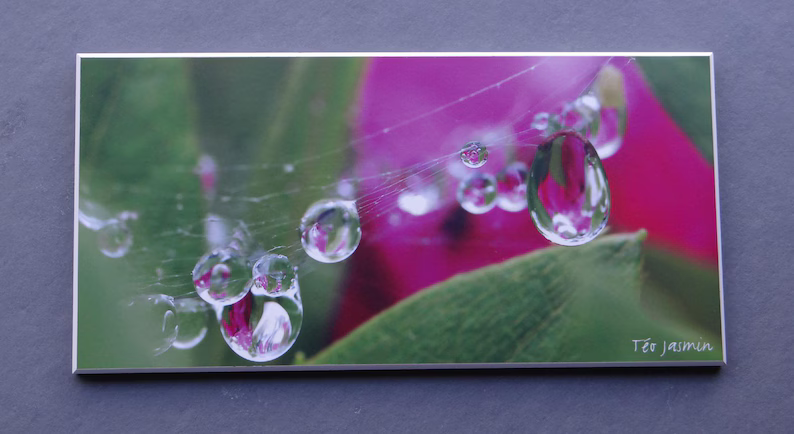 elementsdeco's tweet photo. Dew Drops on Spider Web Macro Photo Print – Nature Wall Art Sunrise Dewdrops https://t.co/PFjcMLWRkC
#bathroomDecor #nature #photography https://t.co/RCGf77HG2E