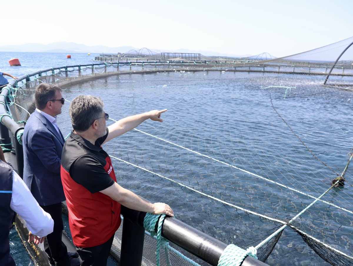 ibrahimyumakli's tweet photo. 🐟 Ülkemizde yetiştirilen her 4 balıktan 1’inin Muğla’da üretildiğini biliyor muydunuz?

🌊 Mavi Vatan’ın bereketi, üreticimizin emeğiyle buluştu; su ürünleri üretiminde yıllık 1 milyon tonu aşarak tarihimizin en yüksek rakamına ulaştık.

📍 Yetiştiriciliğin başkenti Muğla; levrek ve çipura üretimindeki liderliğiyle sofralarımıza lezzet, ekonomimize ise büyük katkı sağlıyor. Biz de modern otomasyon sistemleriyle yemleme yapılan yetiştiricilik tesisinde, sektörün geldiği aşamayı yerinde gördük. 

🤝 Üreten, emek veren ve Türkiye’yi su ürünlerinde dünya markası haline getiren üreticilerimize, balıkçılarımıza, ihracatçılarımıza ve sektörün tüm paydaşlarına yürekten teşekkür ediyorum.