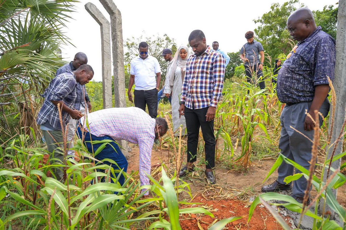 Tuko_co_ke's tweet photo. The Mombasa County Government has launched a joint site assessment at the Bububu Settlement Scheme to address longstanding land ownership and environmental challenges.

The exercise brings together the Departments of Lands, Housing and Urban Planning, and Environment and Solid Waste Management as part of efforts to develop lasting solutions for residents.

County Executive Committee Member for Lands Hussein Mohammed said the initiative is aimed at promoting sustainable land management, protecting the environment and securing land ownership for residents through enhanced interdepartmental collaboration.

"Through this collaboration, we will provide enduring solutions for land ownership to the residents of Mombasa, thereby enhancing their well-being," said  @amadoh_MHM, CECM for Lands

Photo: @amadoh_MHM (Facebook)