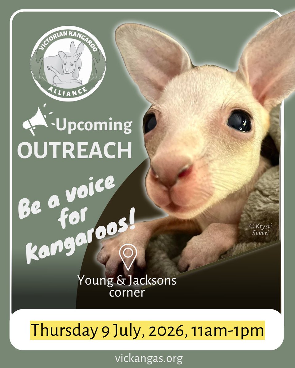 VicKangaroos's tweet photo. JULY OUTREACH - Outreach is on this Thursday! The team would love to see you ☺️
#Stopkillingkangaroos #endwildlifetrade #kangaroo
FB event 👉 https://t.co/8U0AIh1Wlo https://t.co/9Ljck6HENl